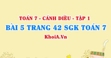 Bài 5 trang 42 SGK Toán 7 tập 1 Cánh Diều